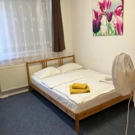 Πανσιόν Austrian Business Ufo Einsteinova